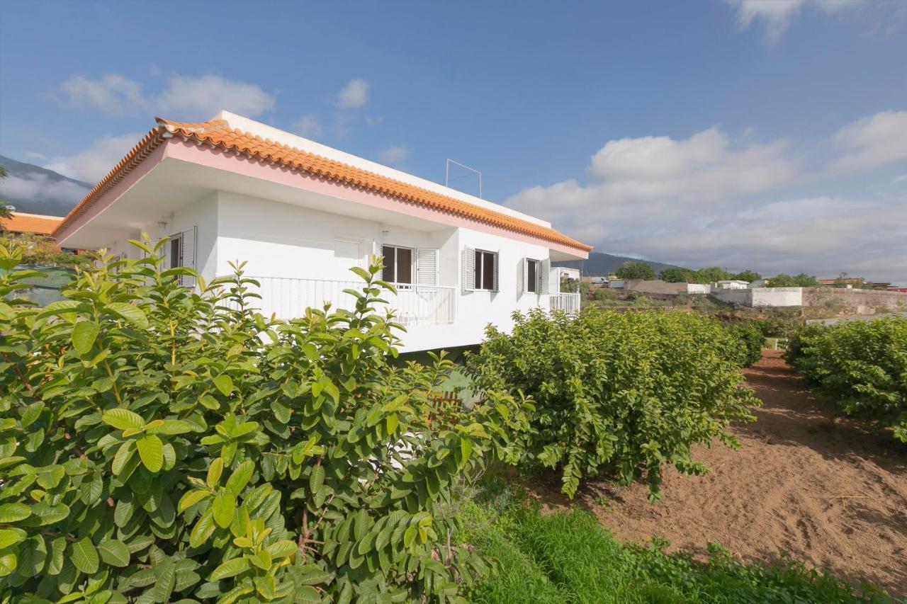Clemente House Private Pool Βίλα Arafo Εξωτερικό φωτογραφία